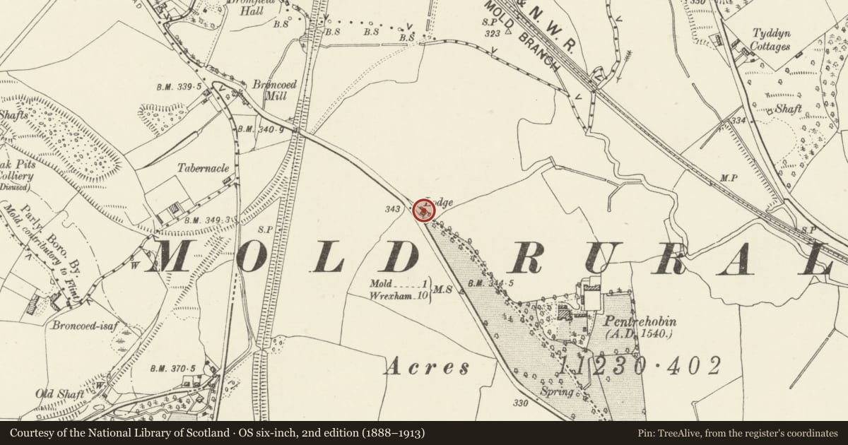 Ordnance Survey six-inch map, 2nd edition (1888–1913) covering the location of Pentrehobyn Lodge, Nercwys, Flintshire, with a pin at the register's coordinates