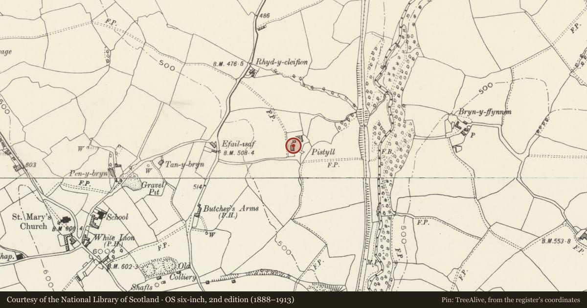 Ordnance Survey six-inch map, 2nd edition (1888–1913) covering the location of Pistyll Farmhouse, Nercwys, Flintshire, with a pin at the register's coordinates