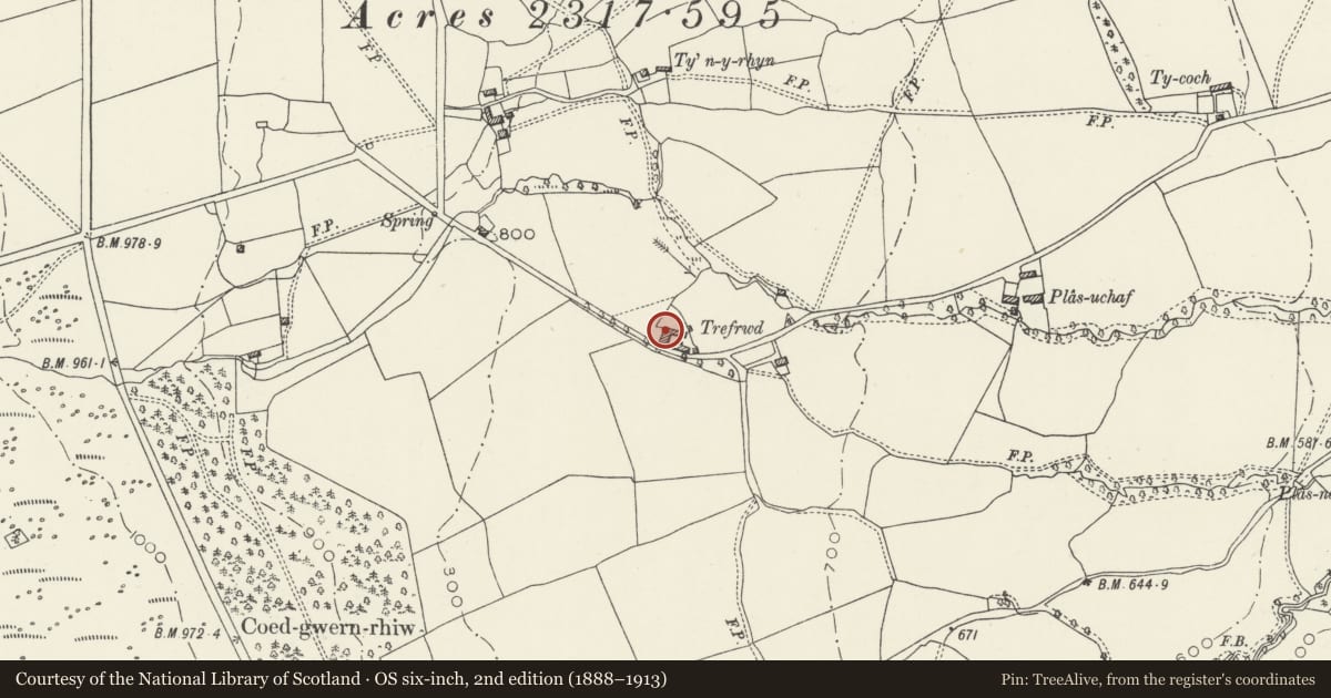 Ordnance Survey six-inch map, 2nd edition (1888–1913) covering the location of Trefrwd Farmhouse, Nercwys, Flintshire, with a pin at the register's coordinates