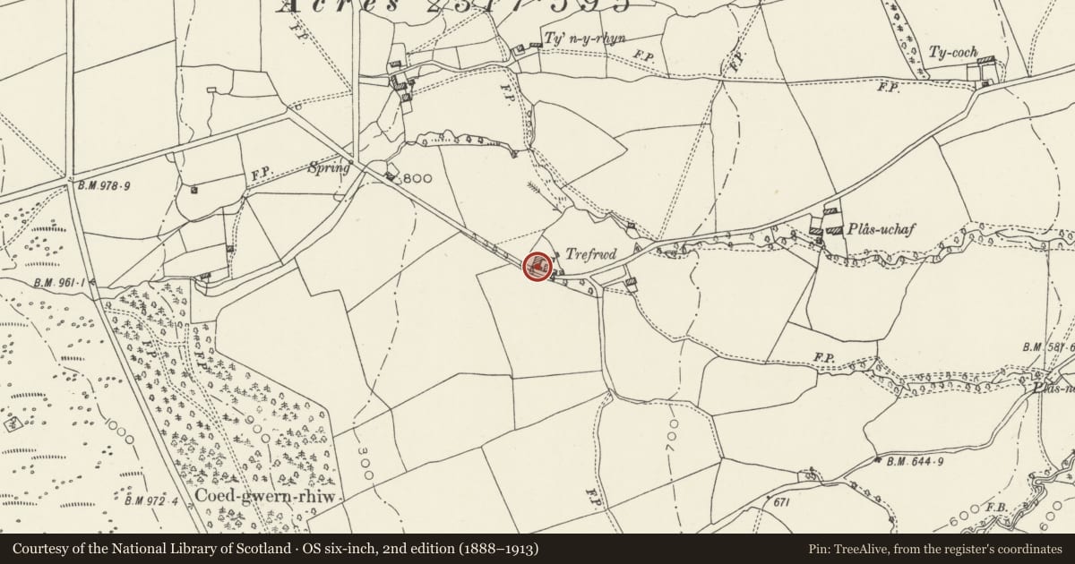 Ordnance Survey six-inch map, 2nd edition (1888–1913) covering the location of Adjoining Farm to south of Trefrwd Farm, Nercwys, Flintshire, with a pin at the register's coordinates