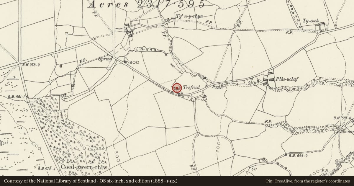 Ordnance Survey six-inch map, 2nd edition (1888–1913) covering the location of Adjoining Farm Buildings to east of Trefrwd Farm, Nercwys, Flintshire, with a pin at the register's coordinates