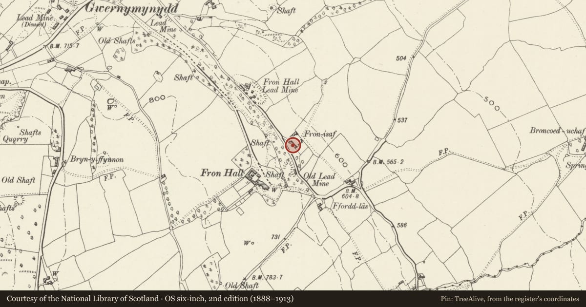 Ordnance Survey six-inch map, 2nd edition (1888–1913) covering the location of Fron Isa Farmhouse at Fron Hall, Gwernymynydd, Flintshire, with a pin at the register's coordinates