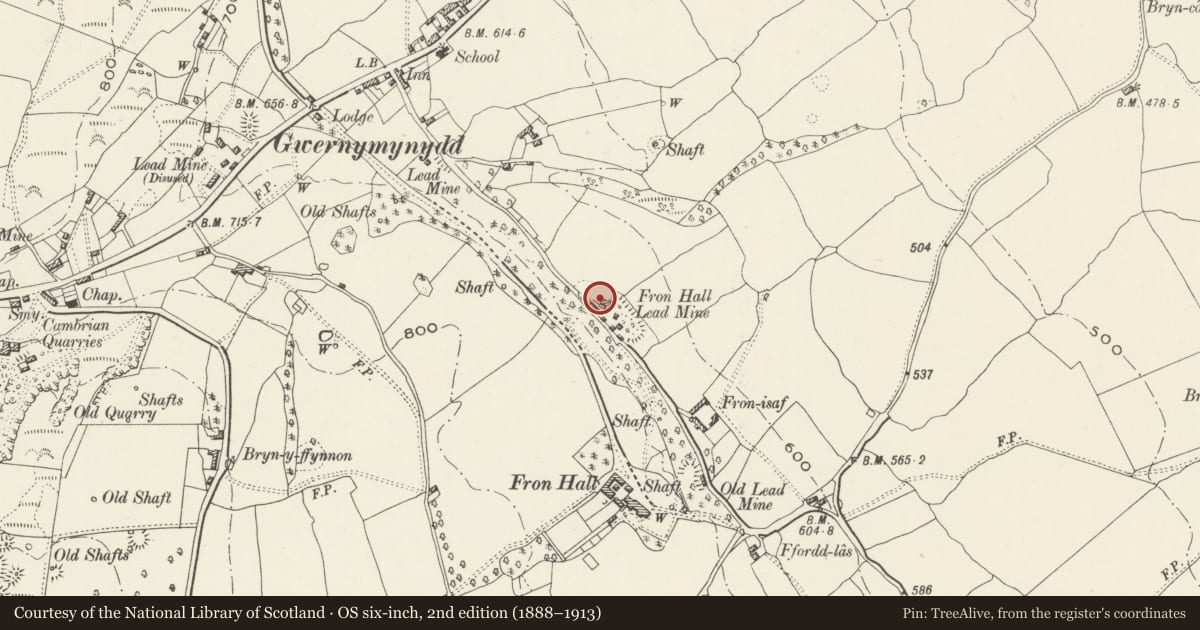 Ordnance Survey six-inch map, 2nd edition (1888–1913) covering the location of Chimney at Fron Hall, Gwernymynydd, Flintshire, with a pin at the register's coordinates