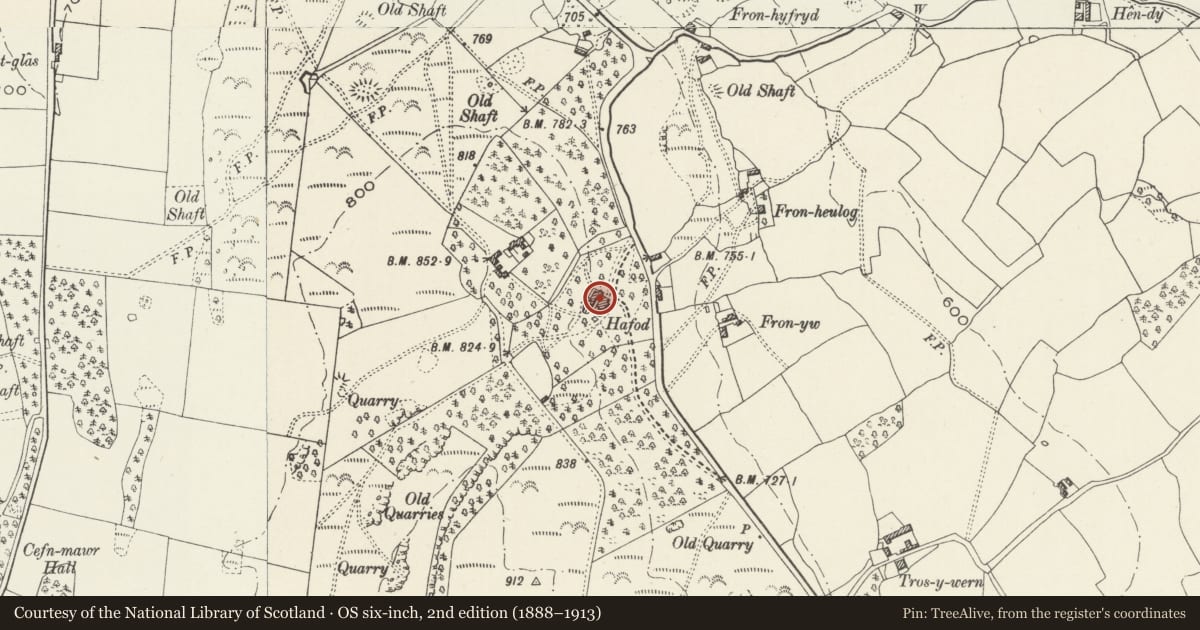 Ordnance Survey six-inch map, 2nd edition (1888–1913) covering the location of Plas Hafod, Gwernymynydd, Flintshire, with a pin at the register's coordinates