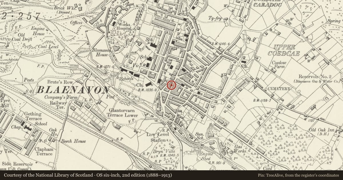 Ordnance Survey six-inch map, 2nd edition (1888–1913) covering the location of 16 Broad Street, Blaenavon, Torfaen, with a pin at the register's coordinates