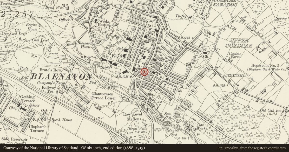 Ordnance Survey six-inch map, 2nd edition (1888–1913) covering the location of 17 Broad Street, Blaenavon, Torfaen, with a pin at the register's coordinates