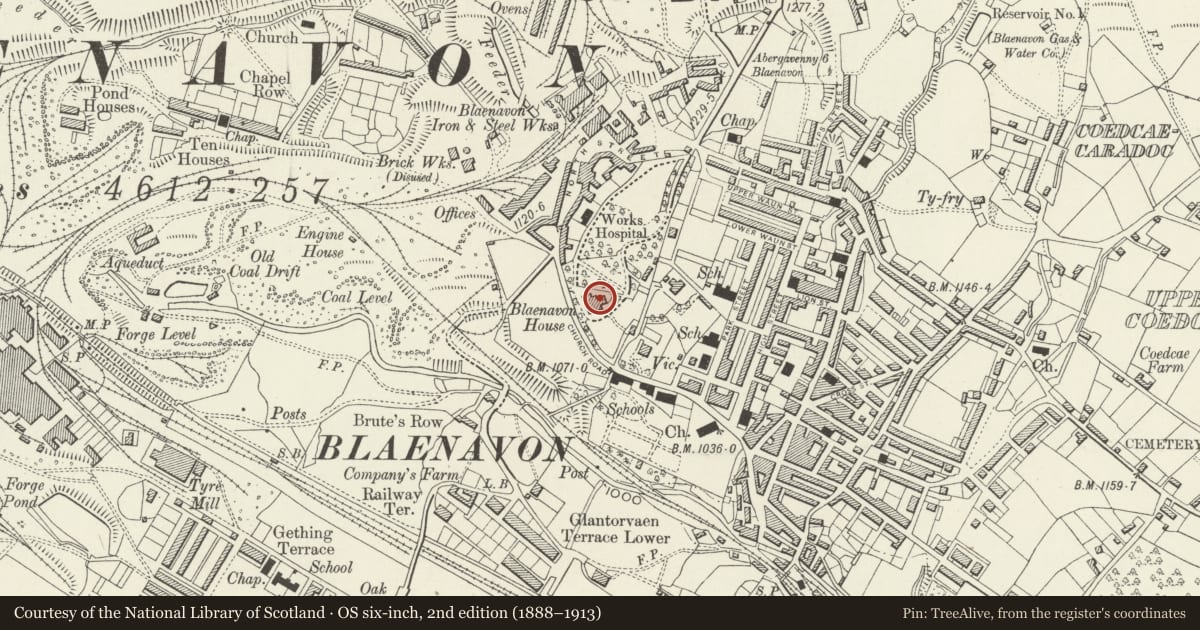 Ordnance Survey six-inch map, 2nd edition (1888–1913) covering the location of The Beeches Nursing Home (formerly known as Ty Mawr), Blaenavon, Torfaen, with a pin at the register's coordinates