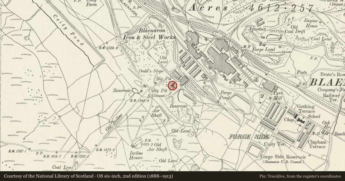 Ordnance Survey six-inch map, 2nd edition (1888–1913) covering the location of U-Shaped Group including Welding and Fitting Shop, Blacksmiths Shop and Tea Shop, Blaenavon, Torfaen, with a pin at the register's coordinates