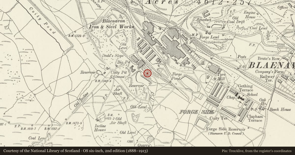Ordnance Survey six-inch map, 2nd edition (1888–1913) covering the location of Saw Mill, Blaenavon, Torfaen, with a pin at the register's coordinates