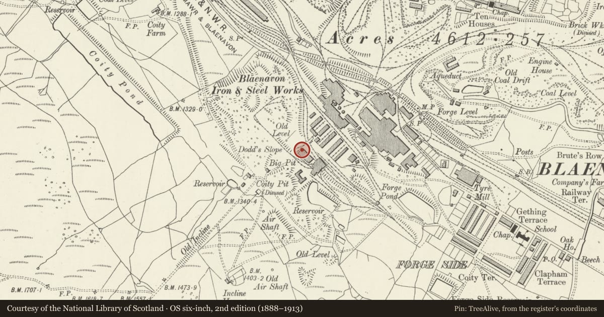 Ordnance Survey six-inch map, 2nd edition (1888–1913) covering the location of Reception (Fitting Shops), Blaenavon, Torfaen, with a pin at the register's coordinates