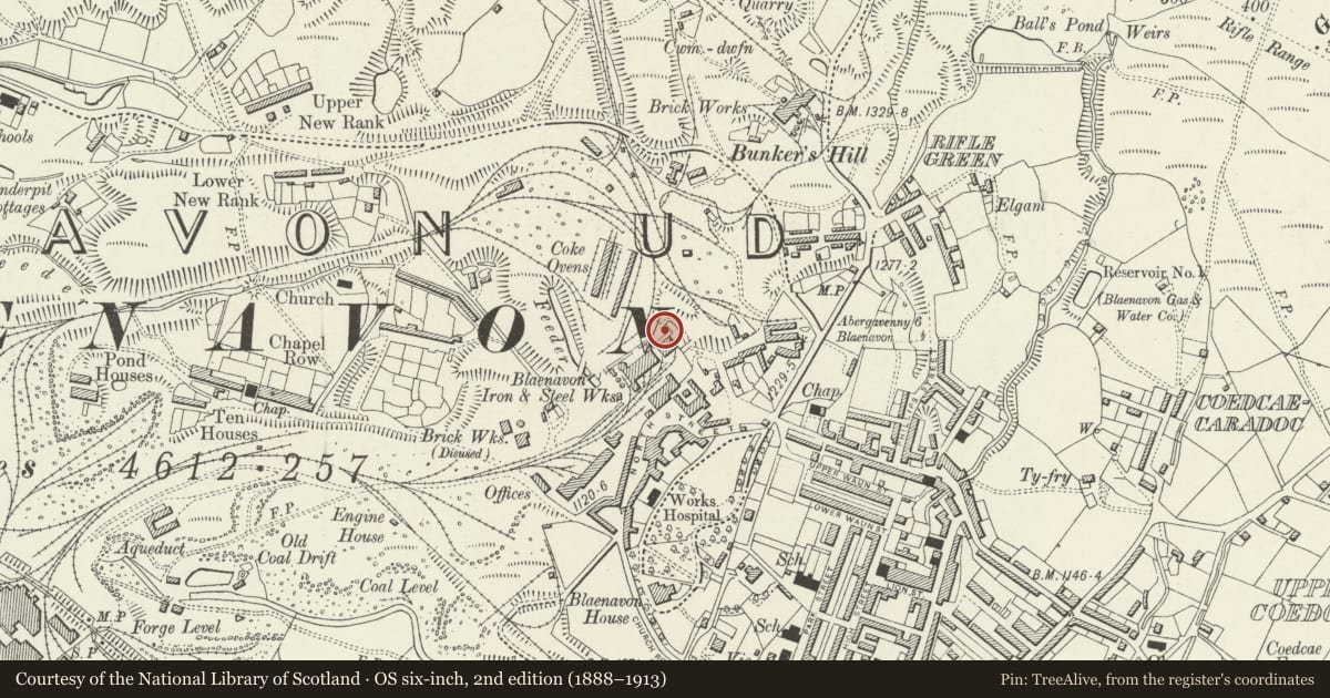 Ordnance Survey six-inch map, 2nd edition (1888–1913) covering the location of Blast Furnaces, Blaenavon, Torfaen, with a pin at the register's coordinates