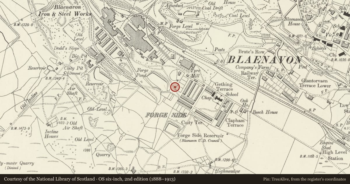 Ordnance Survey six-inch map, 2nd edition (1888–1913) covering the location of Electricity Power House, C Row (NW Side), Blaenavon, Torfaen, with a pin at the register's coordinates
