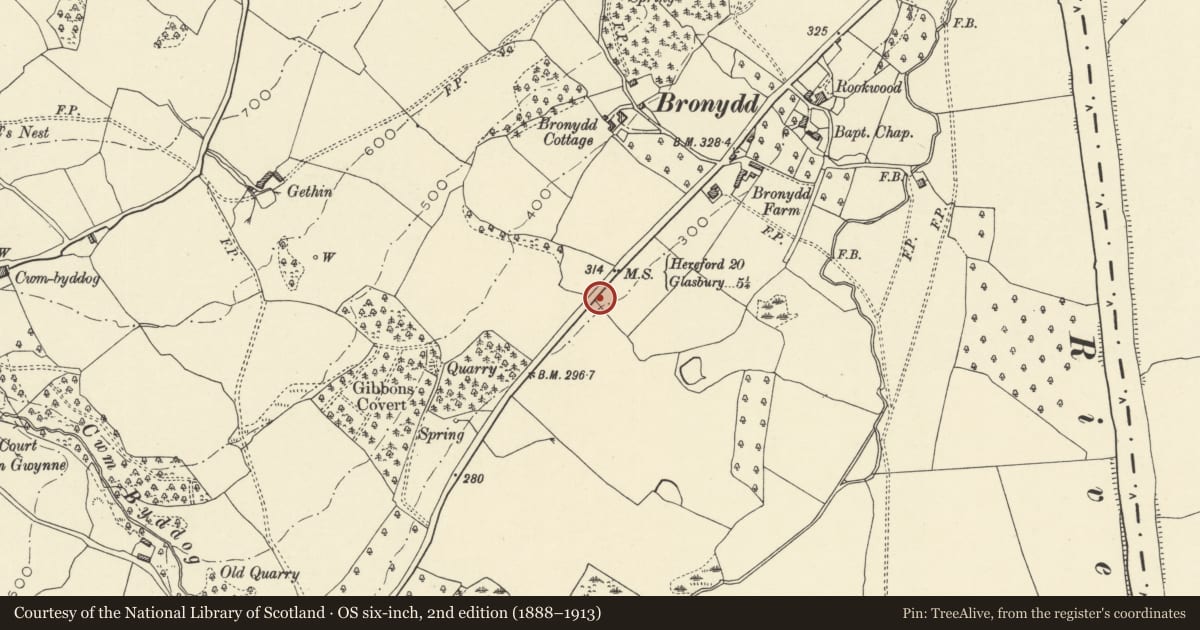 Ordnance Survey six-inch map, 2nd edition (1888–1913) covering the location of Milestone, Clyro, Powys, with a pin at the register's coordinates