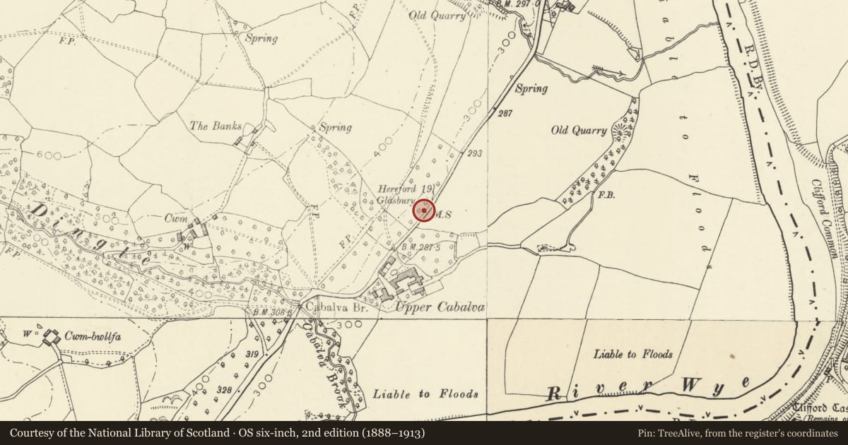 Ordnance Survey six-inch map, 2nd edition (1888–1913) covering the location of Milestone, Clyro, Powys, with a pin at the register's coordinates