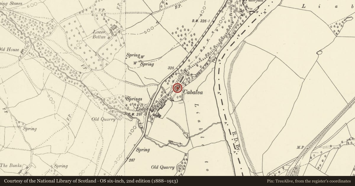 Ordnance Survey six-inch map, 2nd edition (1888–1913) covering the location of Cabalva House, Clyro, Powys, with a pin at the register's coordinates