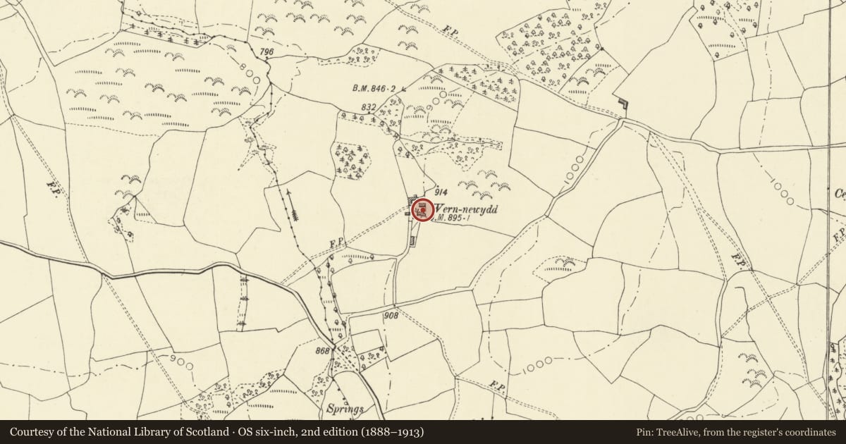 Ordnance Survey six-inch map, 2nd edition (1888–1913) covering the location of Wern Newydd Farmhouse, Clyro, Powys, with a pin at the register's coordinates