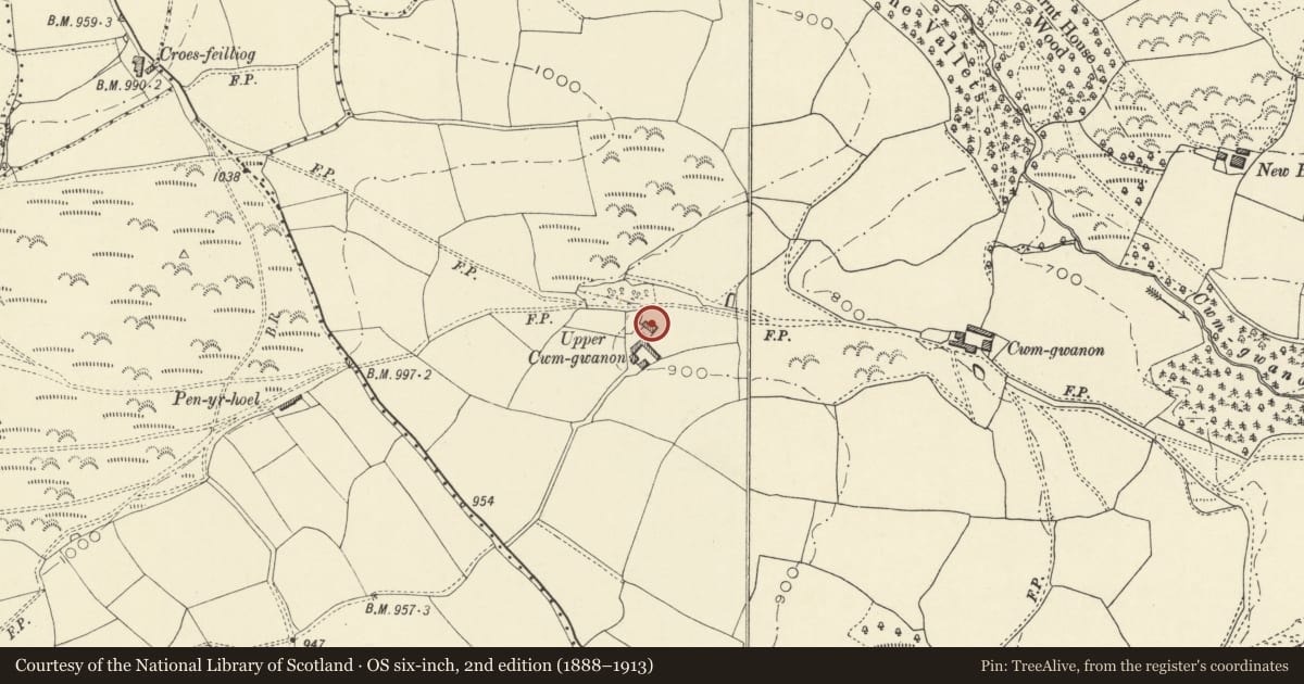 Ordnance Survey six-inch map, 2nd edition (1888–1913) covering the location of Upper Cwmgwanon Farmhouse, Clyro, Powys, with a pin at the register's coordinates
