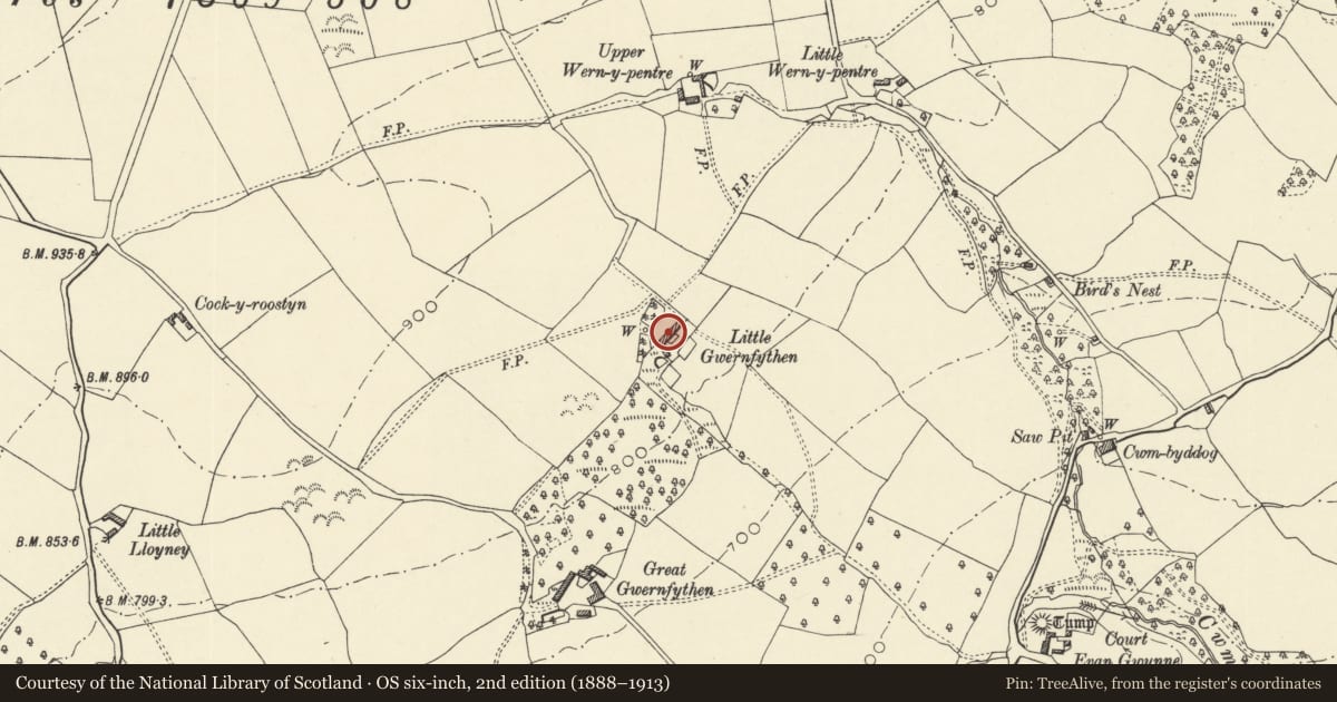 Ordnance Survey six-inch map, 2nd edition (1888–1913) covering the location of Little Gwernfythen Farmhouse, Clyro, Powys, with a pin at the register's coordinates
