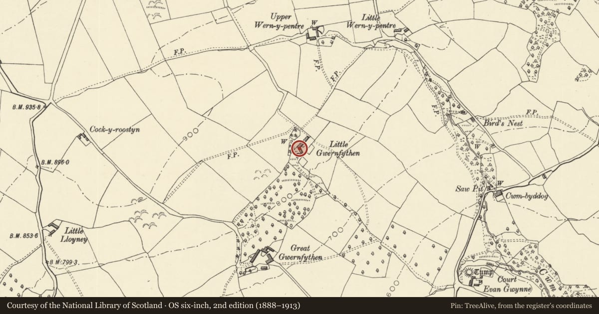 Ordnance Survey six-inch map, 2nd edition (1888–1913) covering the location of Barn at right angles to Little Gwernfythen Farmhouse, Clyro, Powys, with a pin at the register's coordinates