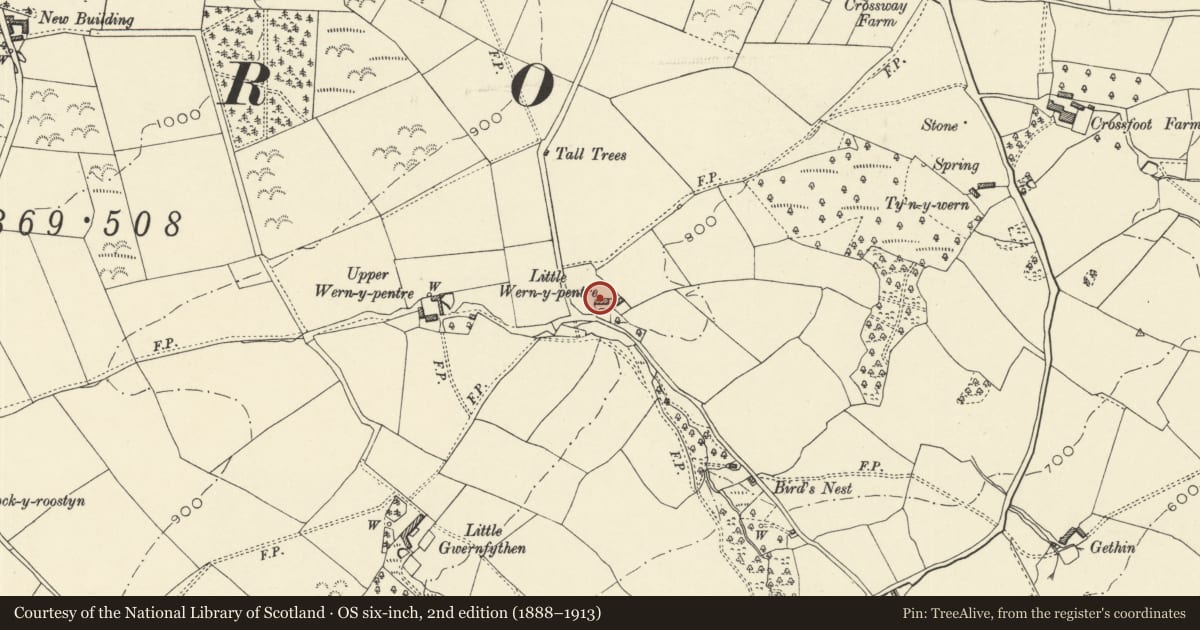 Ordnance Survey six-inch map, 2nd edition (1888–1913) covering the location of Lower Wern y Pentre, Clyro, Powys, with a pin at the register's coordinates