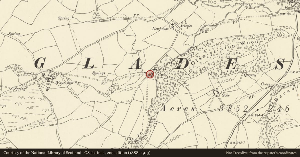Ordnance Survey six-inch map, 2nd edition (1888–1913) covering the location of L-Plan Range at Cwm Farm, Gladestry, Powys, with a pin at the register's coordinates