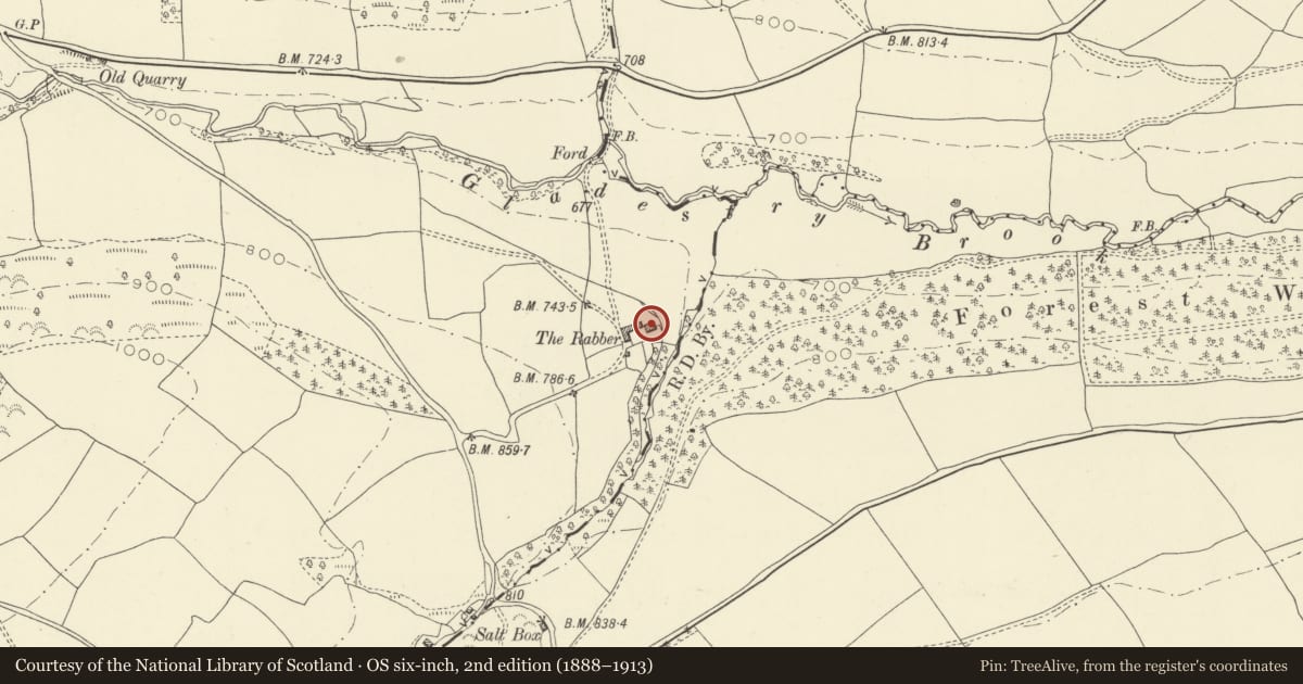 Ordnance Survey six-inch map, 2nd edition (1888–1913) covering the location of Lower Rabber, Gladestry, Powys, with a pin at the register's coordinates