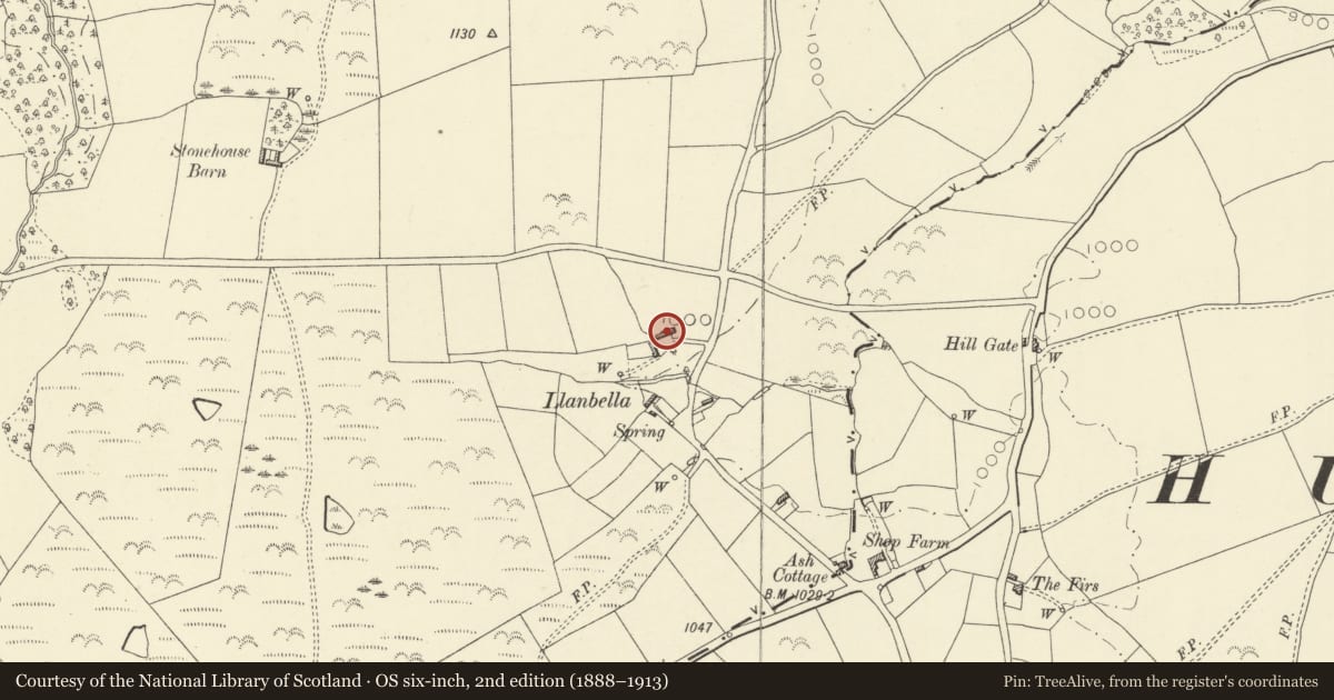 Ordnance Survey six-inch map, 2nd edition (1888–1913) covering the location of Upper Llanbella, Gladestry, Powys, with a pin at the register's coordinates