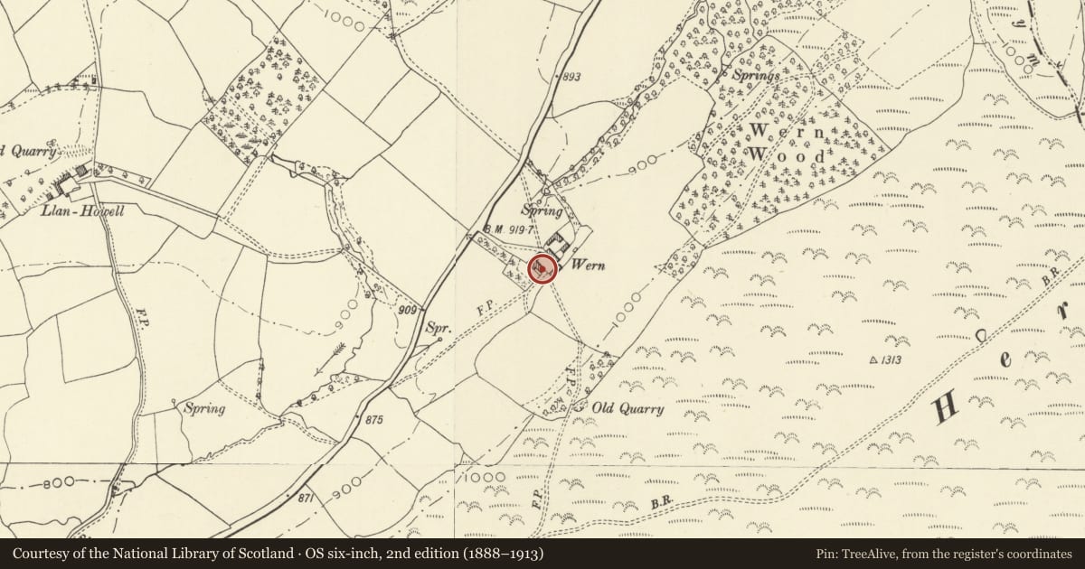 Ordnance Survey six-inch map, 2nd edition (1888–1913) covering the location of Wern Farmhouse, Gladestry, Powys, with a pin at the register's coordinates