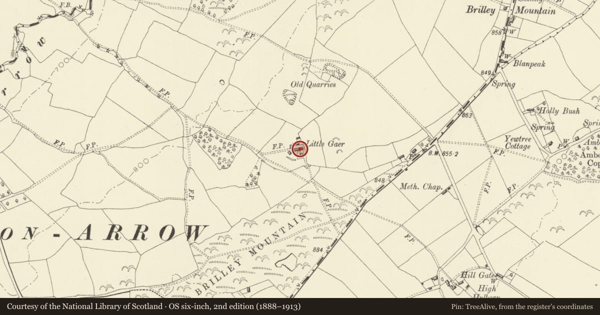 Ordnance Survey six-inch map, 2nd edition (1888–1913) covering the location of Little Gaer, Gladestry, Powys, with a pin at the register's coordinates