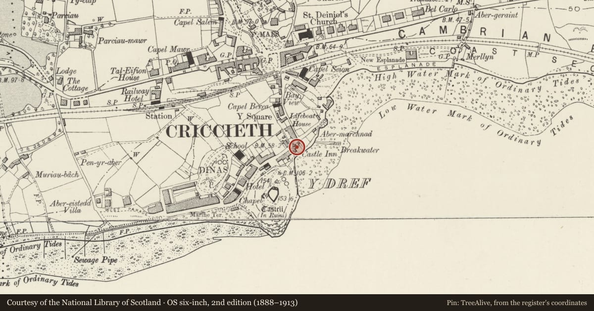 Ordnance Survey six-inch map, 2nd edition (1888–1913) covering the location of Ty Mawr, Criccieth, Gwynedd, with a pin at the register's coordinates