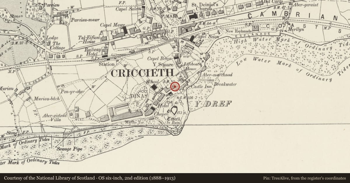 Ordnance Survey six-inch map, 2nd edition (1888–1913) covering the location of Trefan, Criccieth, Gwynedd, with a pin at the register's coordinates