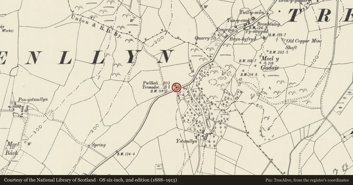 Ordnance Survey six-inch map, 2nd edition (1888–1913) covering the location of Mile Post, Criccieth, Gwynedd, with a pin at the register's coordinates