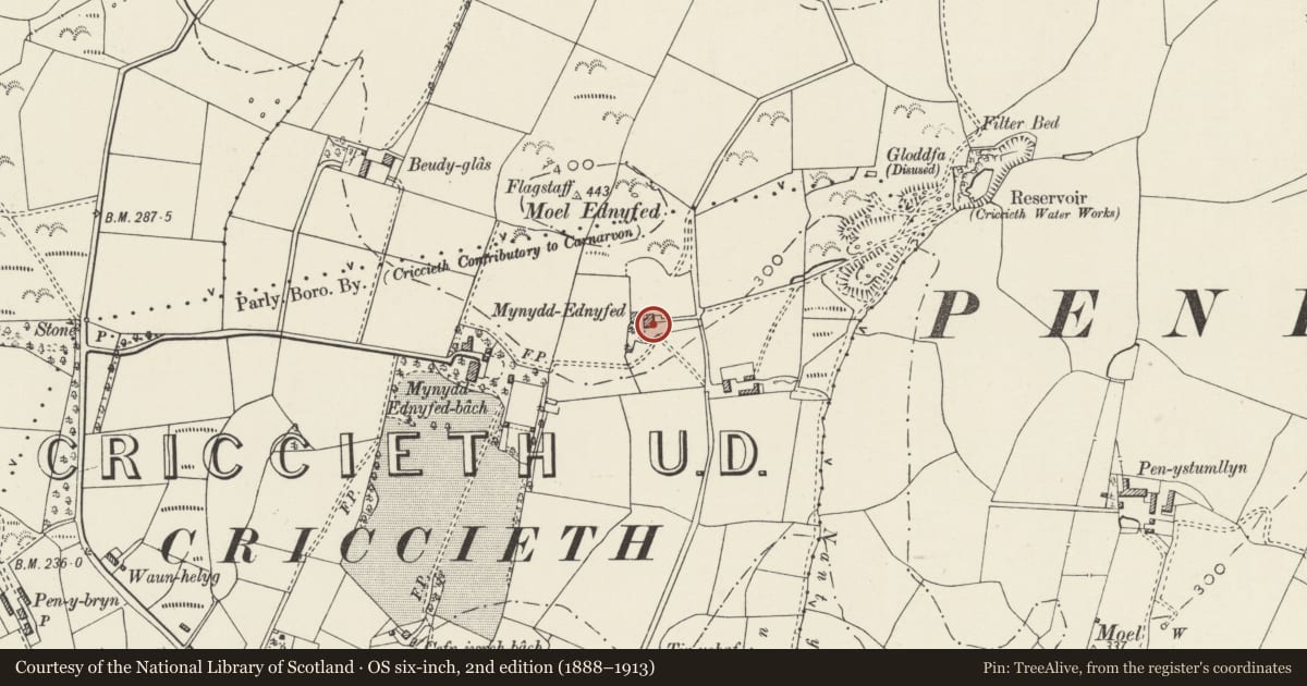 Ordnance Survey six-inch map, 2nd edition (1888–1913) covering the location of Mynydd Ednyfed Fawr, Criccieth, Gwynedd, with a pin at the register's coordinates