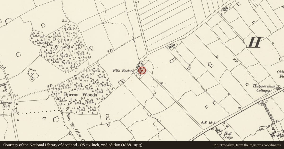 Ordnance Survey six-inch map, 2nd edition (1888–1913) covering the location of Plas Bostock, Holt, Wrexham, with a pin at the register's coordinates