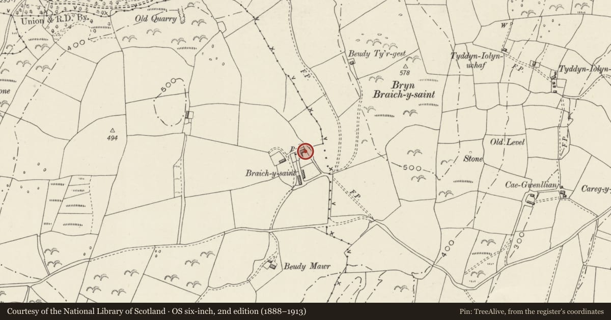 Ordnance Survey six-inch map, 2nd edition (1888–1913) covering the location of Braich y Saint, Criccieth, Gwynedd, with a pin at the register's coordinates