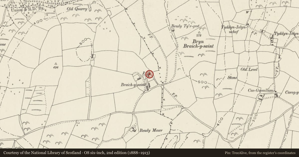 Ordnance Survey six-inch map, 2nd edition (1888–1913) covering the location of Braich y Saint, Criccieth, Gwynedd, with a pin at the register's coordinates