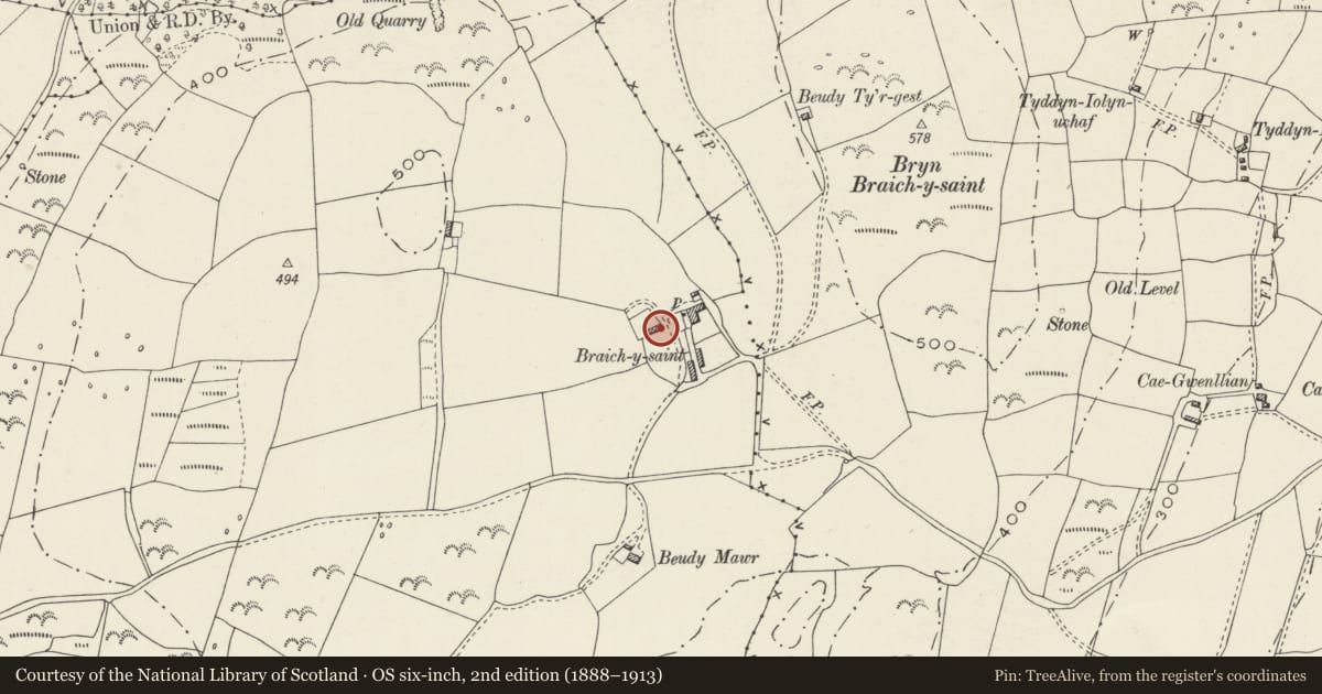 Ordnance Survey six-inch map, 2nd edition (1888–1913) covering the location of Former Threshing Barn at Braich y Saint, Criccieth, Gwynedd, with a pin at the register's coordinates