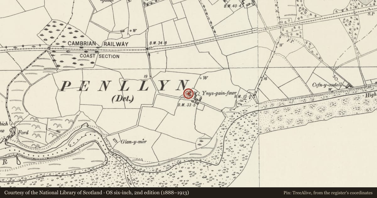 Ordnance Survey six-inch map, 2nd edition (1888–1913) covering the location of Ynysgain Fawr, Criccieth, Gwynedd, with a pin at the register's coordinates