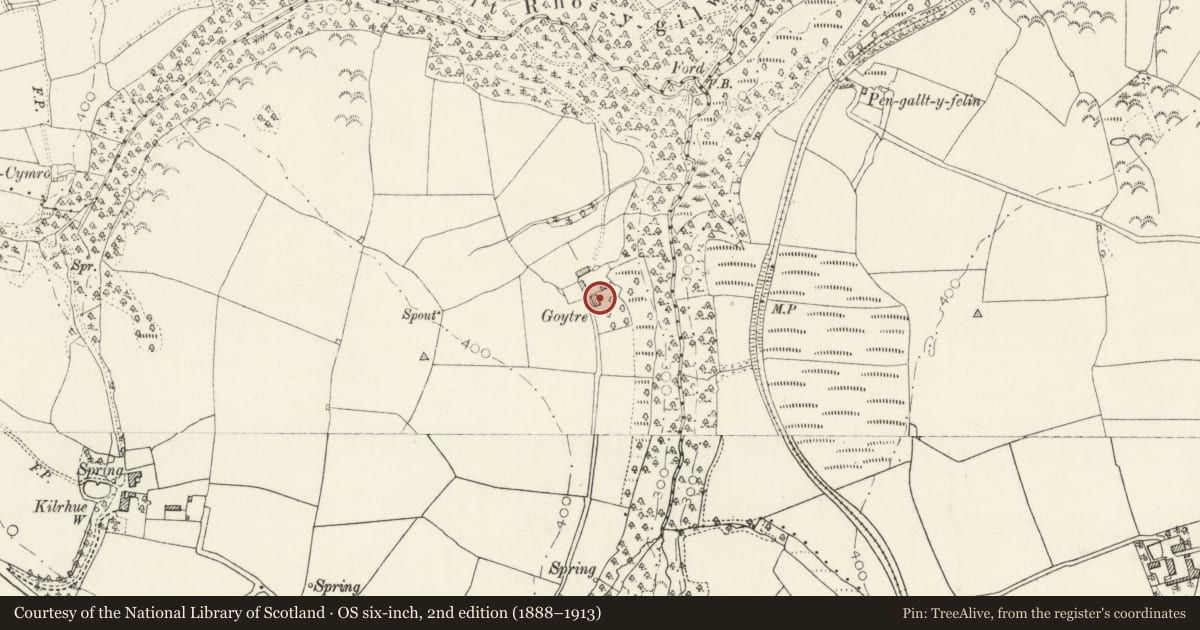Ordnance Survey six-inch map, 2nd edition (1888–1913) covering the location of Goitre, Boncath, Pembrokeshire, with a pin at the register's coordinates