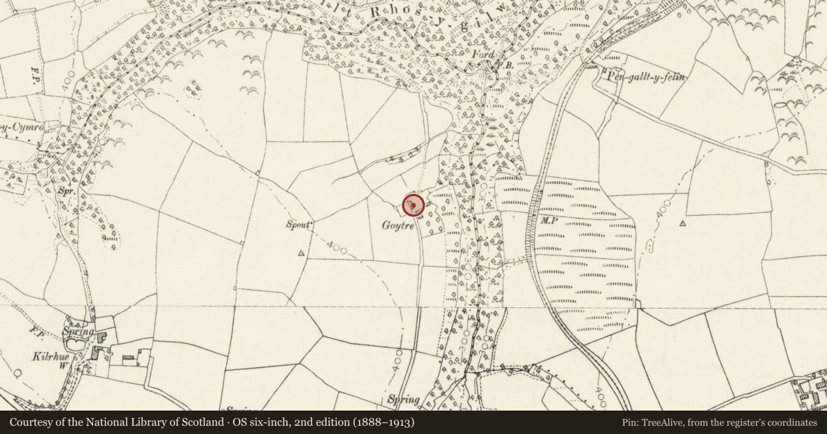 Ordnance Survey six-inch map, 2nd edition (1888–1913) covering the location of Barn & Stable Range to N of Farmhouse at Goitre, Boncath, Pembrokeshire, with a pin at the register's coordinates