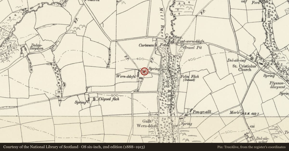 Ordnance Survey six-inch map, 2nd edition (1888–1913) covering the location of Wernddofn, Boncath, Pembrokeshire, with a pin at the register's coordinates