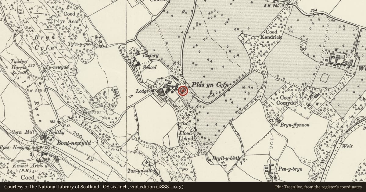Ordnance Survey six-inch map, 2nd edition (1888–1913) covering the location of Plas-yn-Cefn, Cefnmeiriadog, Denbighshire, with a pin at the register's coordinates