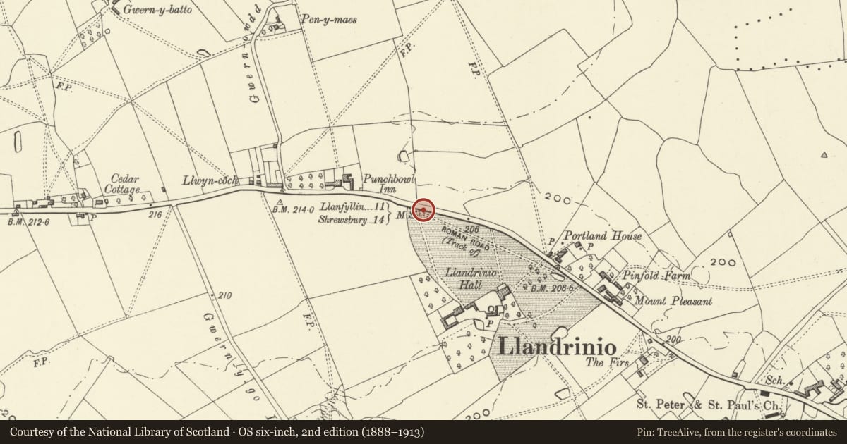 Ordnance Survey six-inch map, 2nd edition (1888–1913) covering the location of Milemarker at roadside about 200m NW of Llandrinio Hall, Powys, with a pin at the register's coordinates