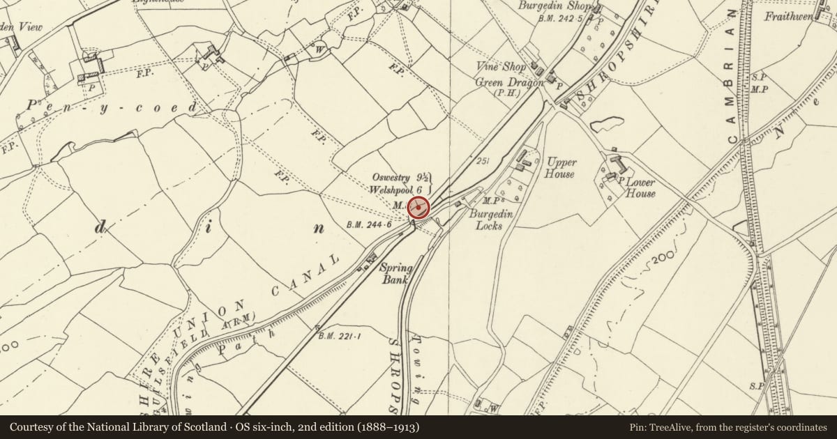 Ordnance Survey six-inch map, 2nd edition (1888–1913) covering the location of Milestone Close to NW of Burgedin Locks, Llandrinio, Powys, with a pin at the register's coordinates