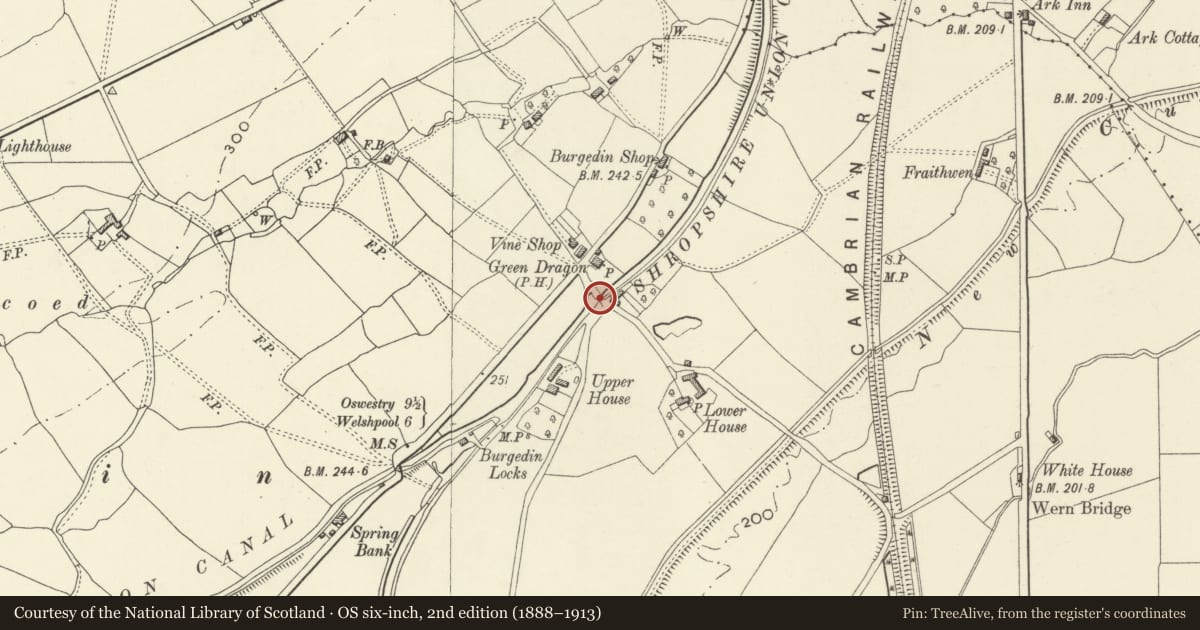 Ordnance Survey six-inch map, 2nd edition (1888–1913) covering the location of Dragon Bridge, Llandrinio, Powys, with a pin at the register's coordinates