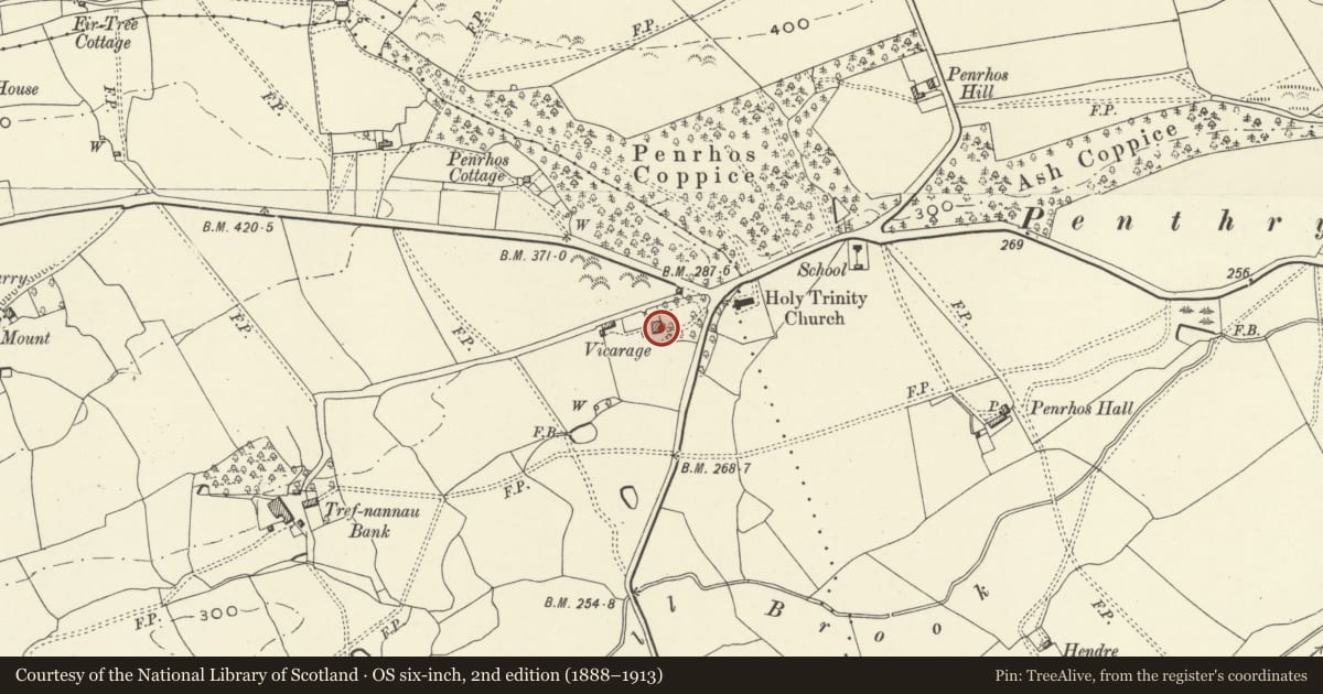 Ordnance Survey six-inch map, 2nd edition (1888–1913) covering the location of Old Rectory, Llandrinio, Powys, with a pin at the register's coordinates