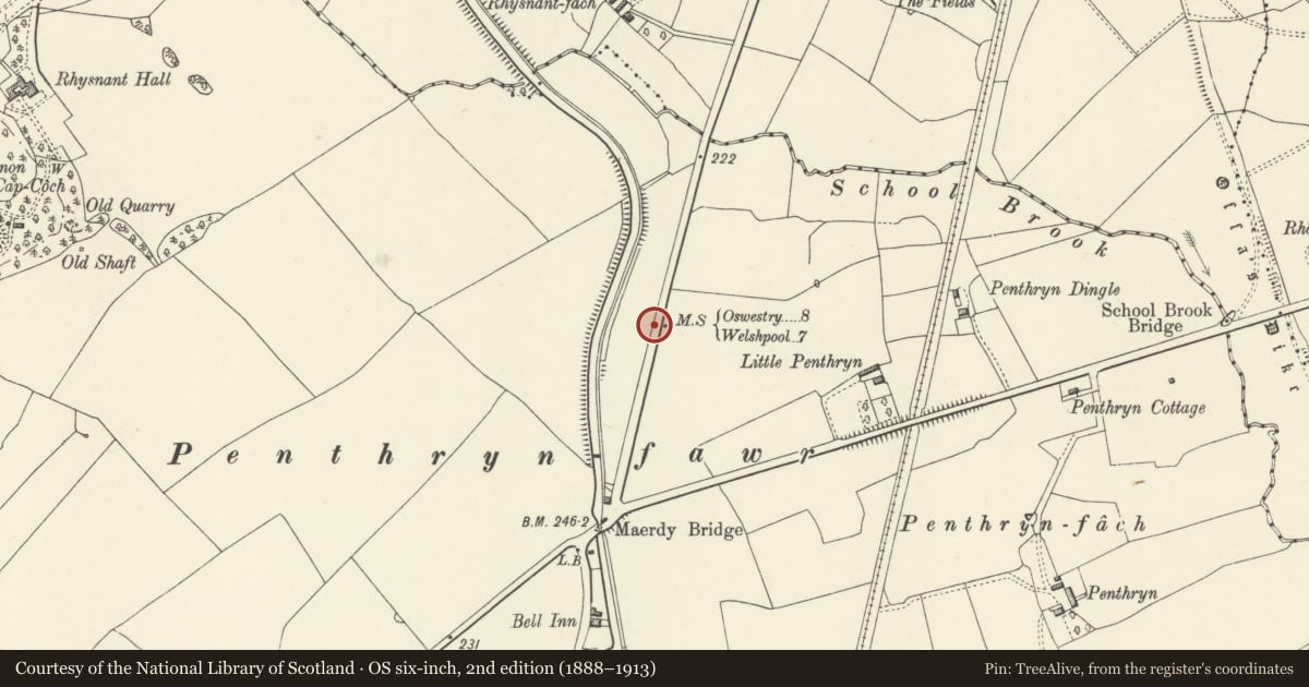 Ordnance Survey six-inch map, 2nd edition (1888–1913) covering the location of Milestone, Llandrinio, Powys, with a pin at the register's coordinates