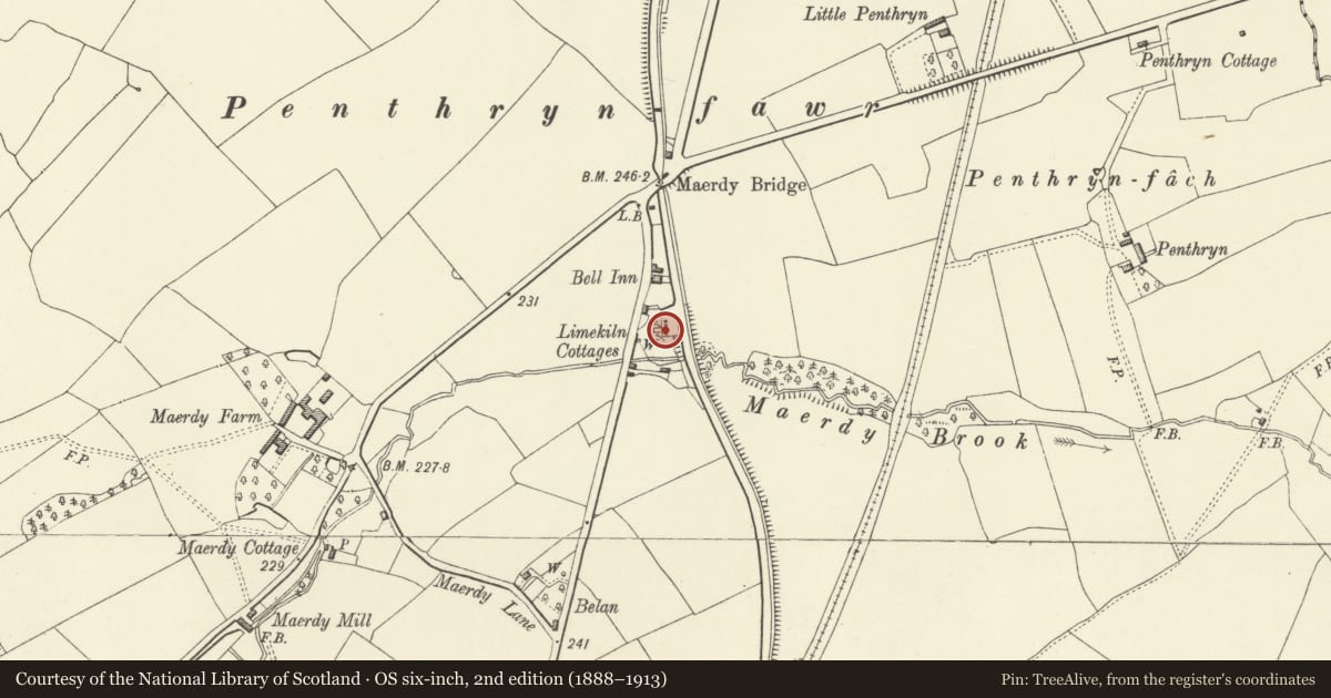 Ordnance Survey six-inch map, 2nd edition (1888–1913) covering the location of Maerdy Limekilns, Llandrinio, Powys, with a pin at the register's coordinates