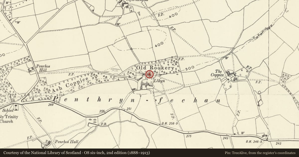 Ordnance Survey six-inch map, 2nd edition (1888–1913) covering the location of Llwyn Farmhouse, Llandrinio, Powys, with a pin at the register's coordinates