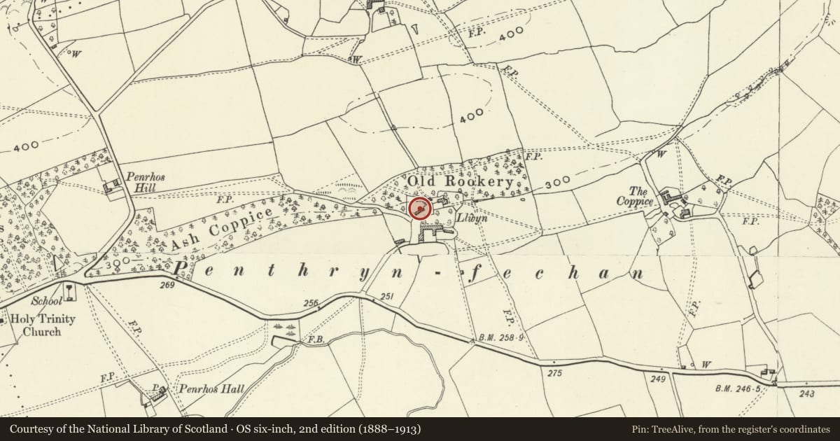 Ordnance Survey six-inch map, 2nd edition (1888–1913) covering the location of Granary at Llwyn Farm, Llandrinio, Powys, with a pin at the register's coordinates
